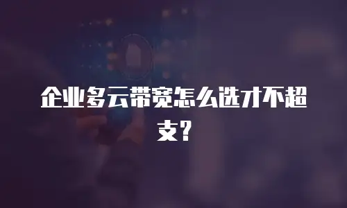 企业多云带宽怎么选才不超支？