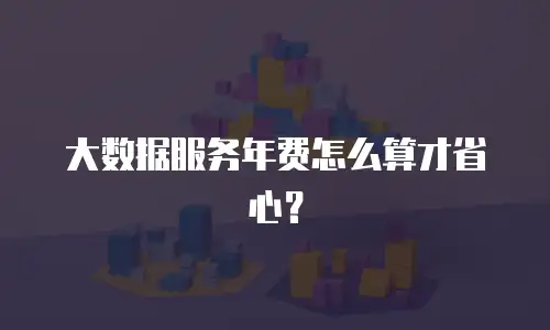 大数据服务年费怎么算才省心？