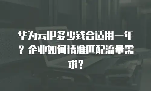 华为云IP多少钱合适用一年？企业如何精准匹配流量需求？