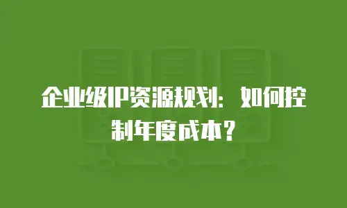 企业级IP资源规划：如何控制年度成本？