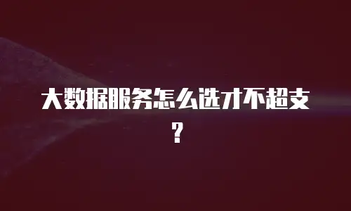 大数据服务怎么选才不超支？