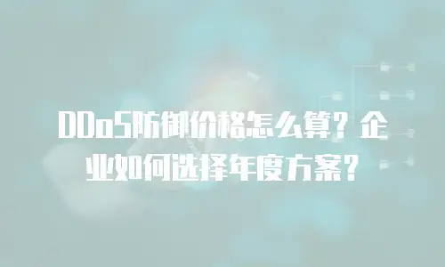 DDoS防御价格怎么算？企业如何选择年度方案？