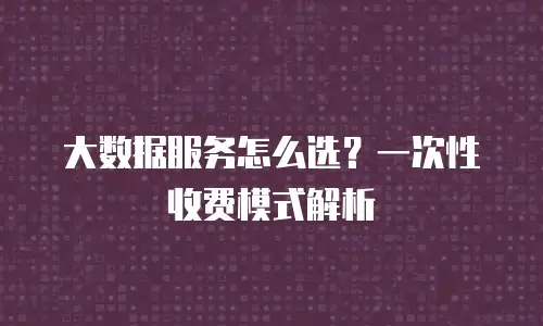 大数据服务怎么选？一次性收费模式解析