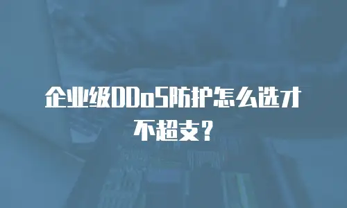 企业级DDoS防护怎么选才不超支？