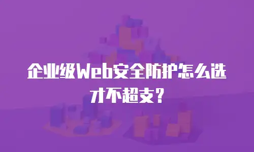 企业级Web安全防护怎么选才不超支？