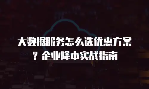 大数据服务怎么选优惠方案？企业降本实战指南