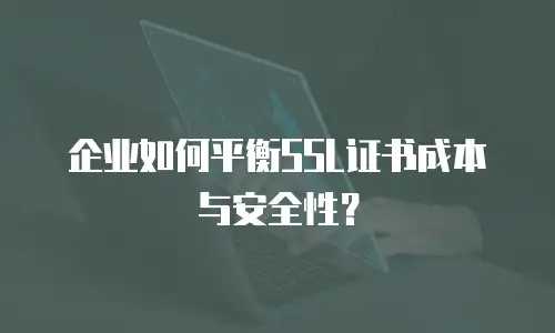 企业如何平衡SSL证书成本与安全性？