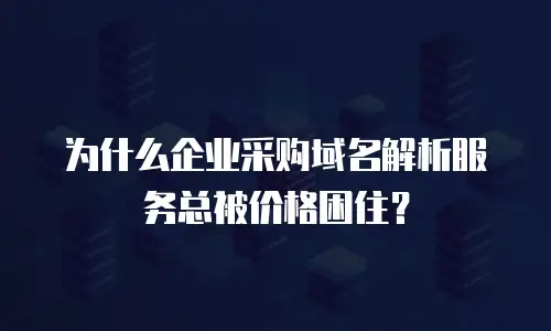 为什么企业采购域名解析服务总被价格困住？