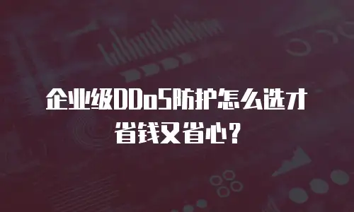 企业级DDoS防护怎么选才省钱又省心？