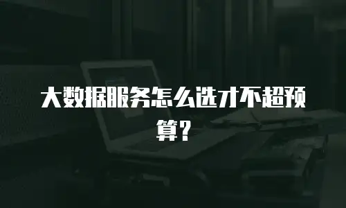 大数据服务怎么选才不超预算？