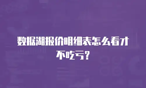 数据湖报价明细表怎么看才不吃亏？
