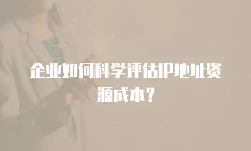 企业如何科学评估IP地址资源成本？