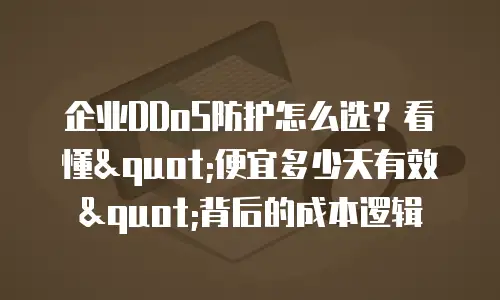 企业DDoS防护怎么选？看懂