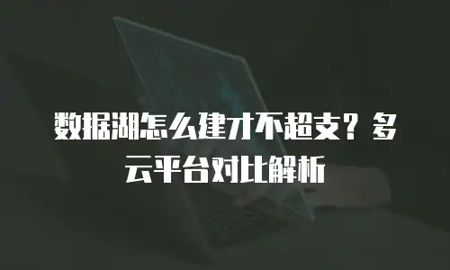 数据湖怎么建才不超支？多云平台对比解析