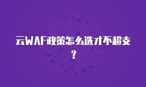 云WAF政策怎么选才不超支？