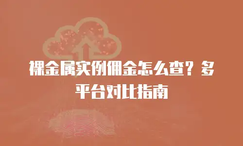 裸金属实例佣金怎么查？多平台对比指南