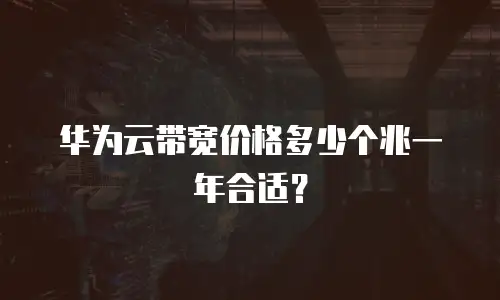 华为云带宽价格多少个兆一年合适？
