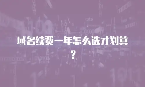 域名续费一年怎么选才划算？