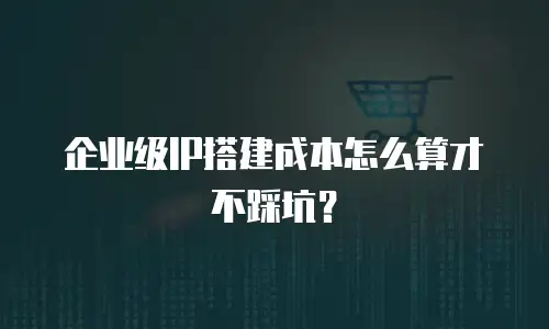 企业级IP搭建成本怎么算才不踩坑？