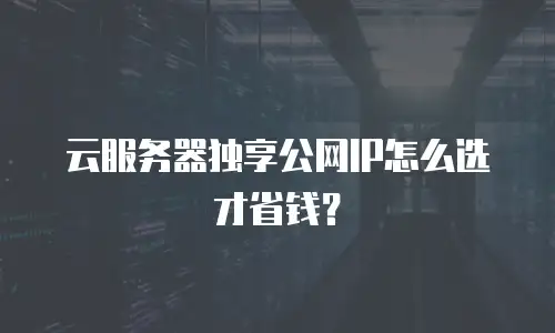 云服务器独享公网IP怎么选才省钱？
