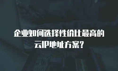 企业如何选择性价比最高的云IP地址方案？