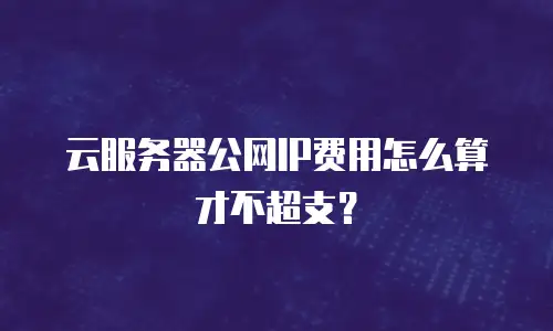 云服务器公网IP费用怎么算才不超支？