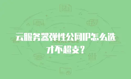 云服务器弹性公网IP怎么选才不超支？