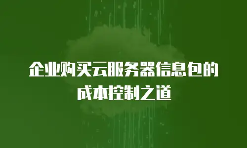 企业购买云服务器信息包的成本控制之道