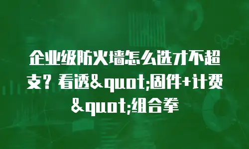 企业级防火墙怎么选才不超支？看透"固件+计费"组合拳