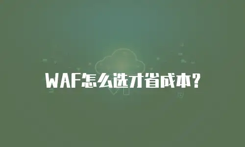 WAF怎么选才省成本？