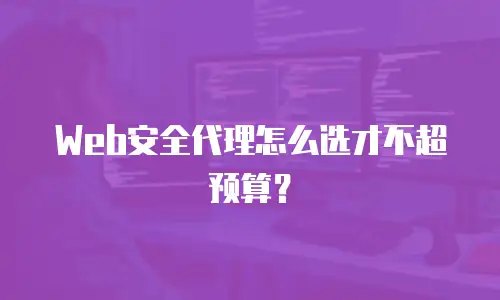 Web安全代理怎么选才不超预算？