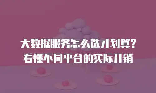 大数据服务怎么选才划算？看懂不同平台的实际开销