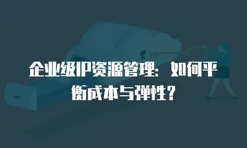 企业级IP资源管理：如何平衡成本与弹性？