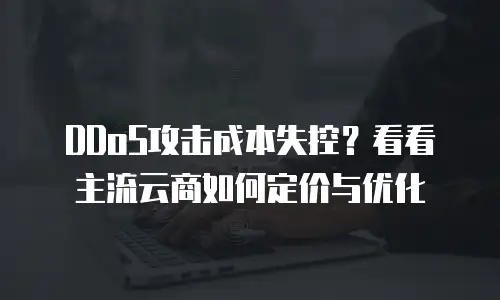 DDoS攻击成本失控？看看主流云商如何定价与优化