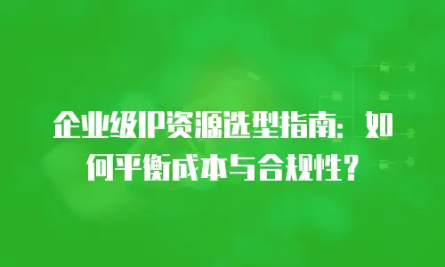 企业级IP资源选型指南：如何平衡成本与合规性？