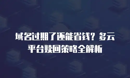 域名过期了还能省钱？多云平台赎回策略全解析