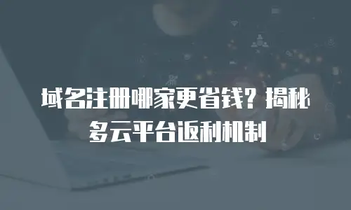 域名注册哪家更省钱？揭秘多云平台返利机制