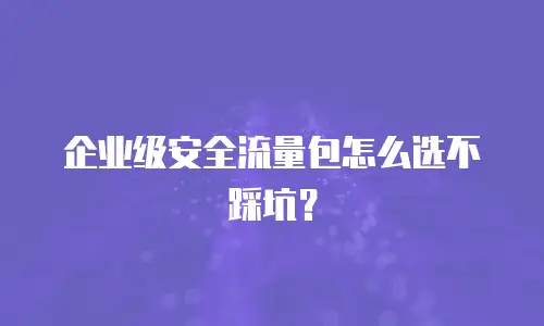 企业级安全流量包怎么选不踩坑？