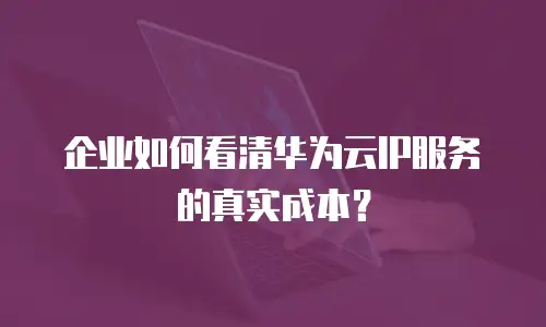 企业如何看清华为云IP服务的真实成本？