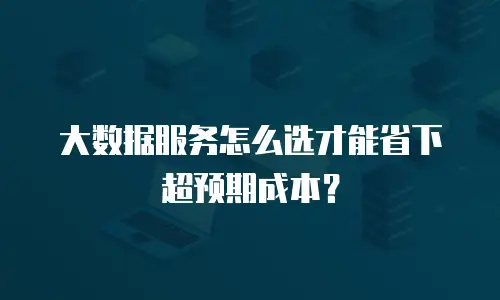 大数据服务怎么选才能省下超预期成本？