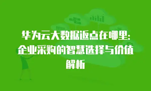 华为云大数据返点在哪里：企业采购的智慧选择与价值解析