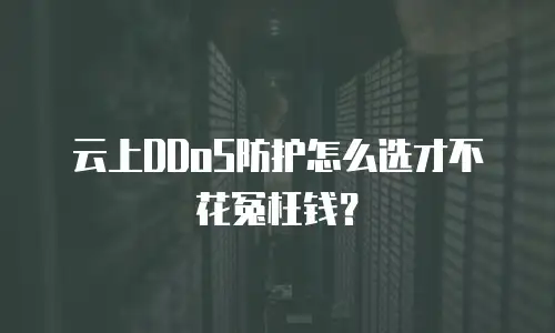 云上DDoS防护怎么选才不花冤枉钱？