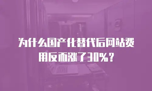 为什么国产化替代后网站费用反而涨了30%？