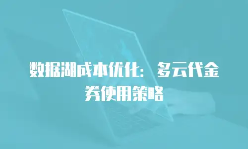 数据湖成本优化：多云代金券使用策略