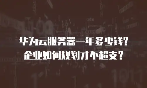 华为云服务器一年多少钱？企业如何规划才不超支？