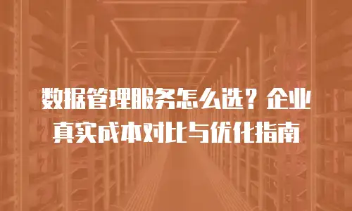 数据管理服务怎么选？企业真实成本对比与优化指南