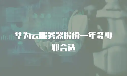 华为云服务器报价一年多少兆合适