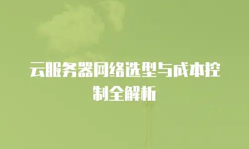 云服务器网络选型与成本控制全解析