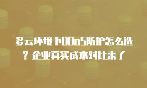多云环境下DDoS防护怎么选？企业真实成本对比来了