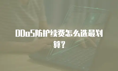 DDoS防护续费怎么选最划算？